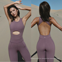 Dropshipping Yoga Bodysuit Backless Cut Out Sexy Quick Drying Fitness Yoga Jumpsuit Tight Workout Bodycon Jumpsuit